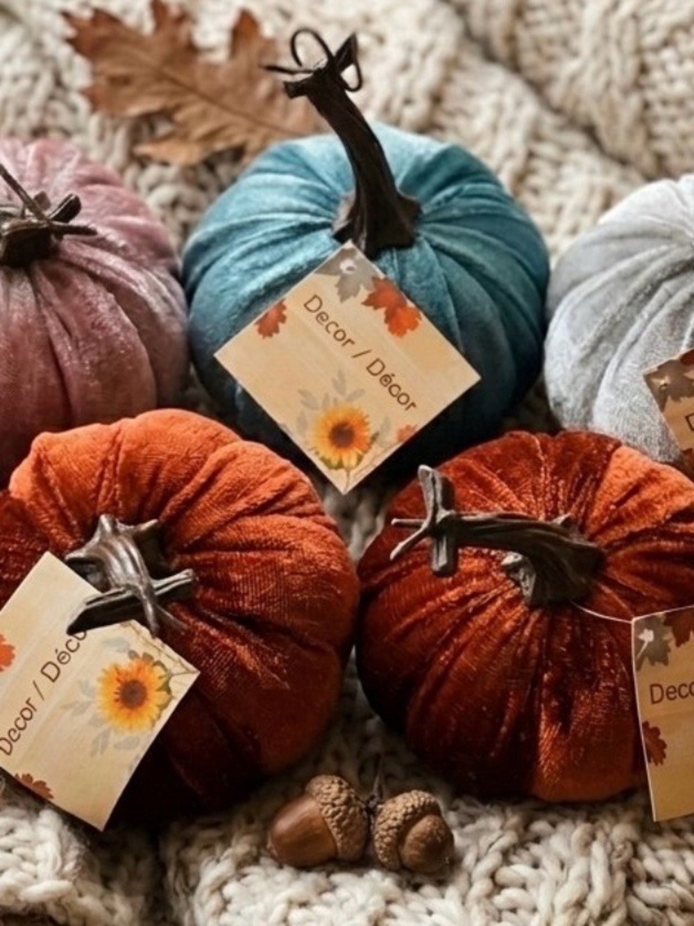 Set of 5 Assorted Velvet Mini Pumpkins – Cozy Autumn Decor